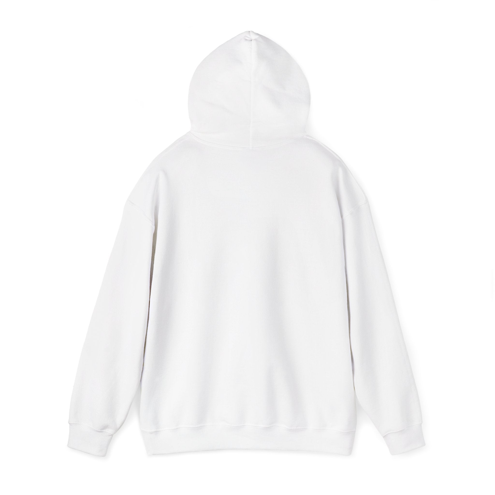 Arkansas Fly Fishing Clothing Company Hoodie – Rainbow Trout Graphic Pullover
