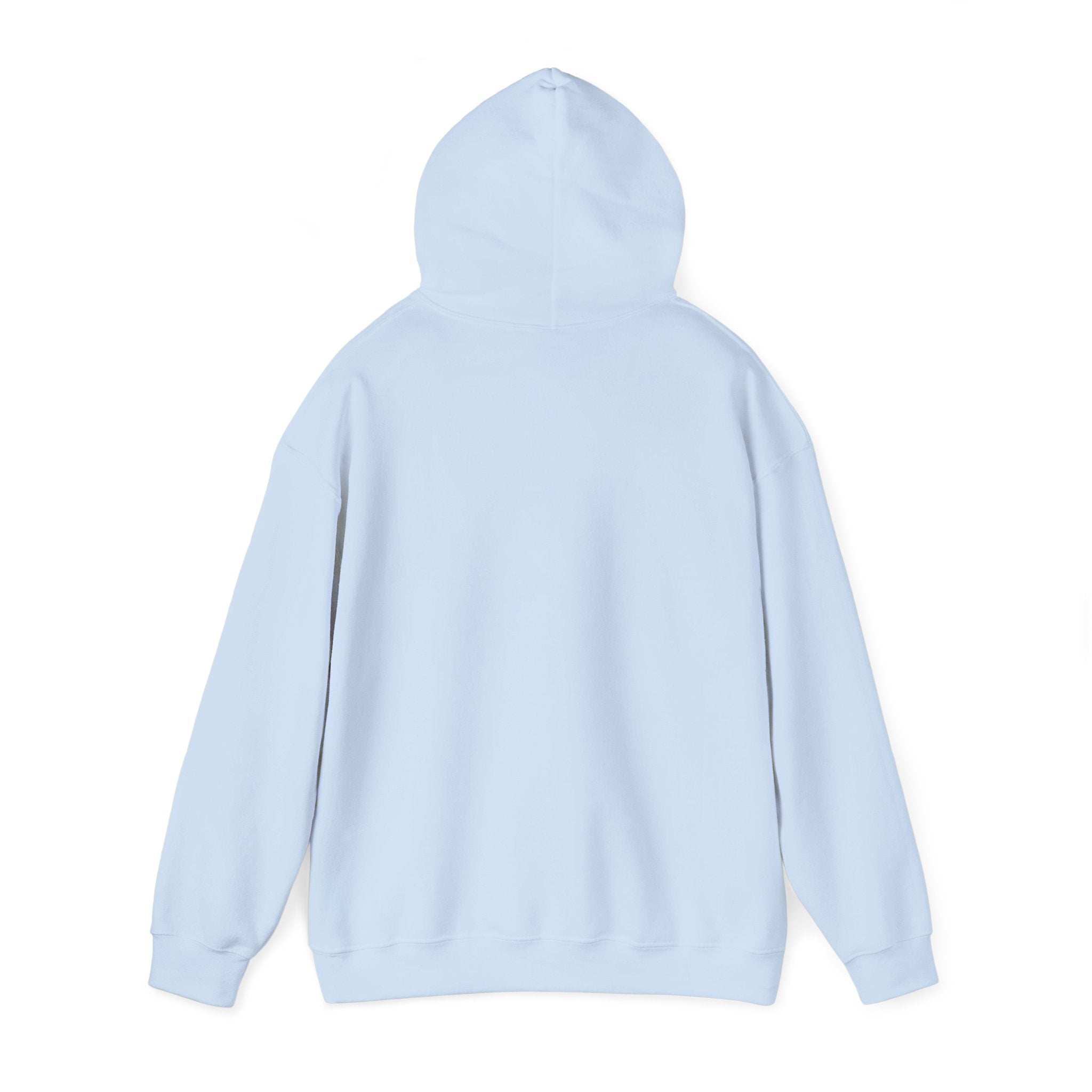 Arkansas Fly Fishing Clothing Company Hoodie – Rainbow Trout Graphic Pullover
