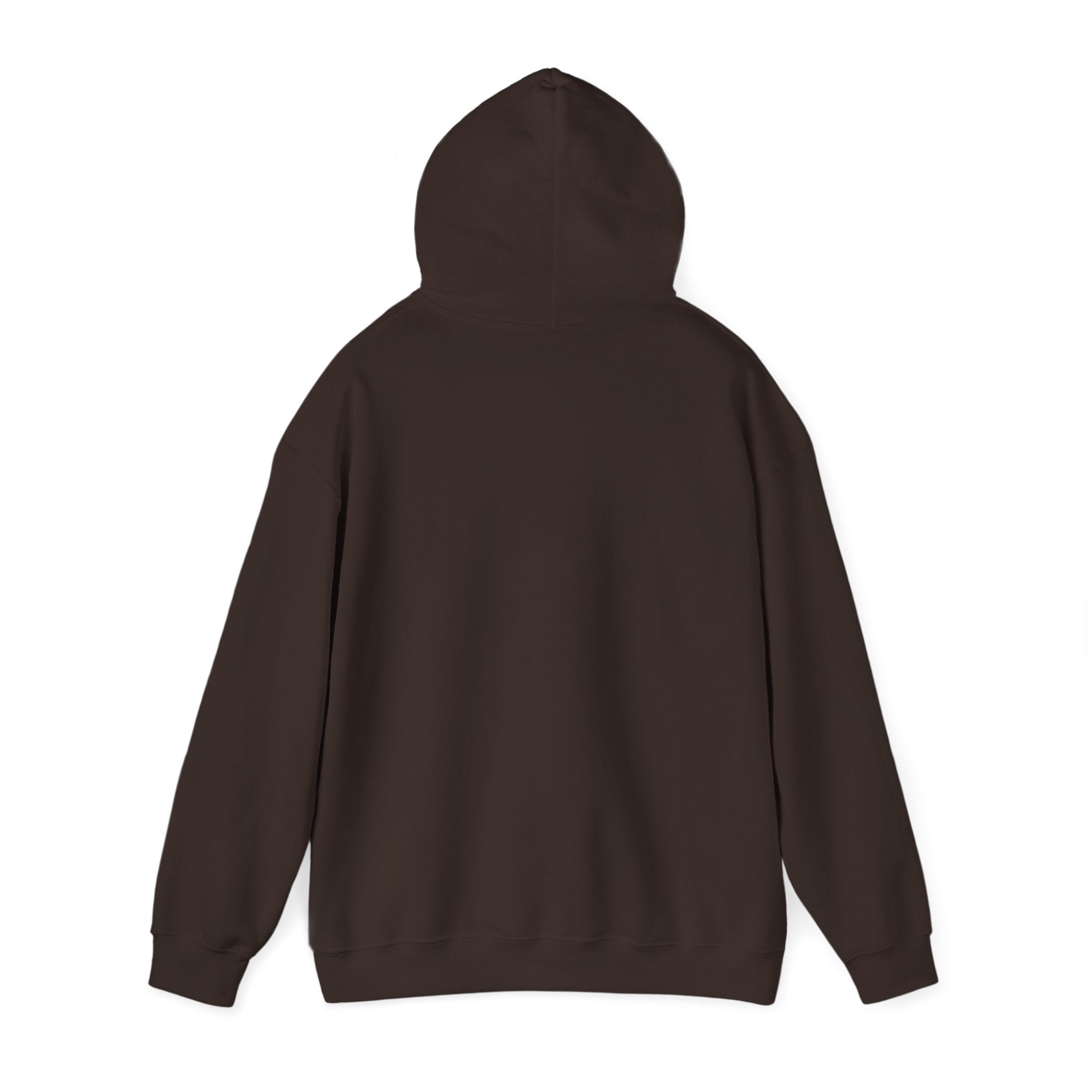 Arkansas Fly Fishing Clothing Company Hoodie – Rainbow Trout Graphic Pullover