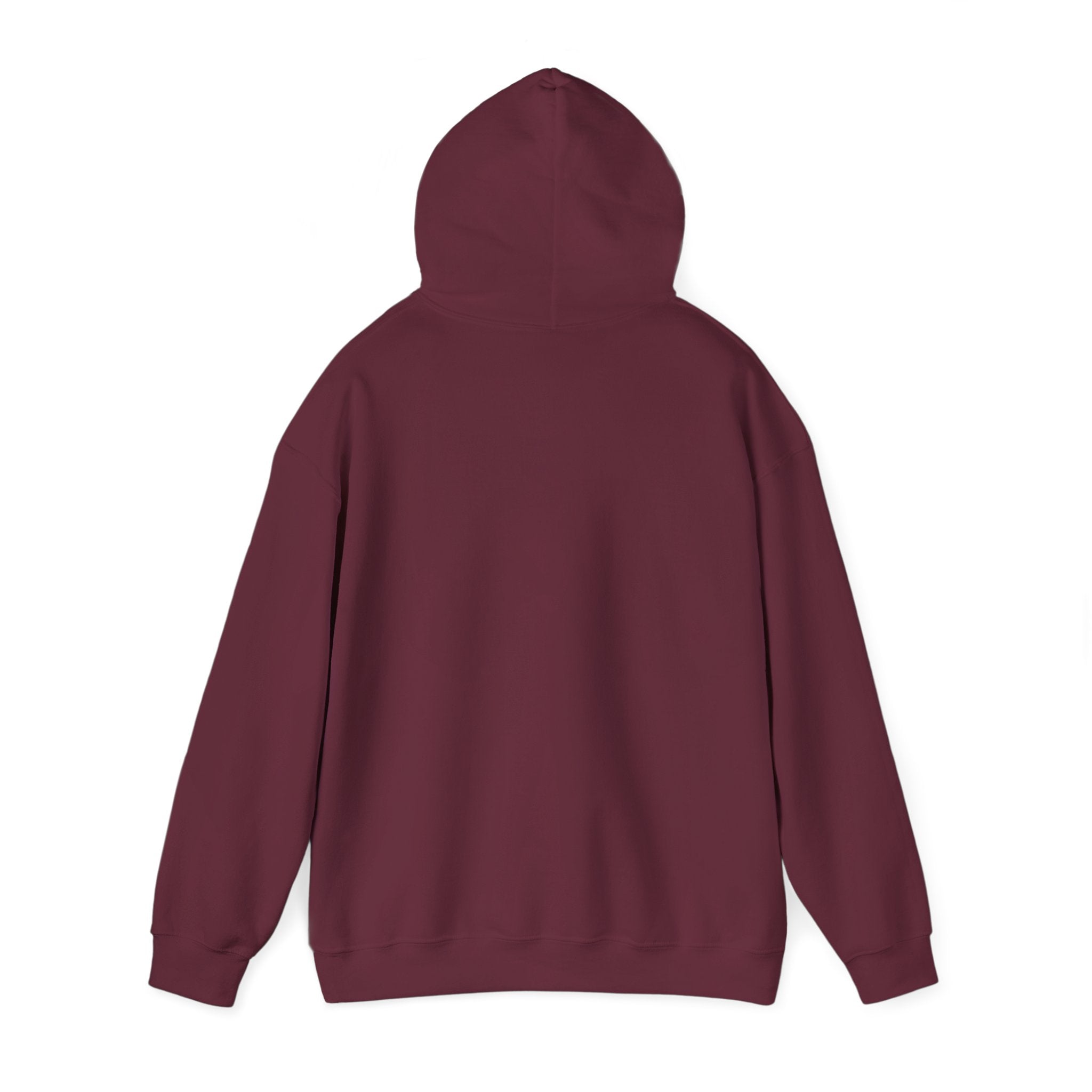 Arkansas Fly Fishing Clothing Company Hoodie – Rainbow Trout Graphic Pullover