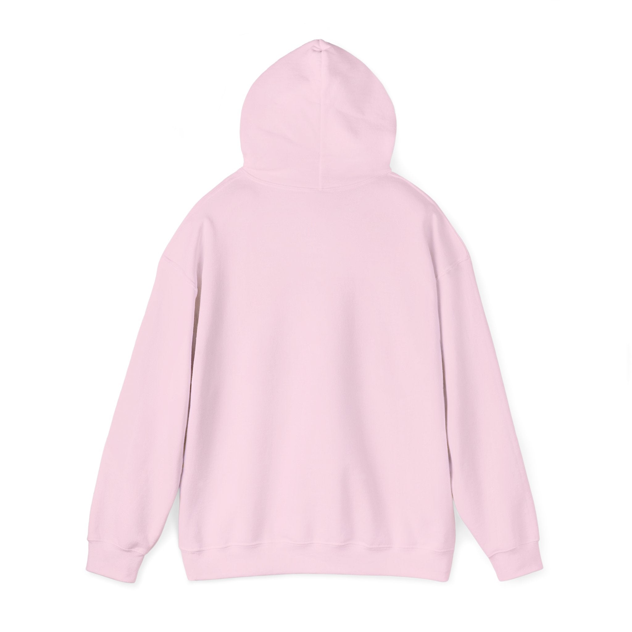 Arkansas Fly Fishing Clothing Company Hoodie — Cutthroat Trout Graphic Pullover